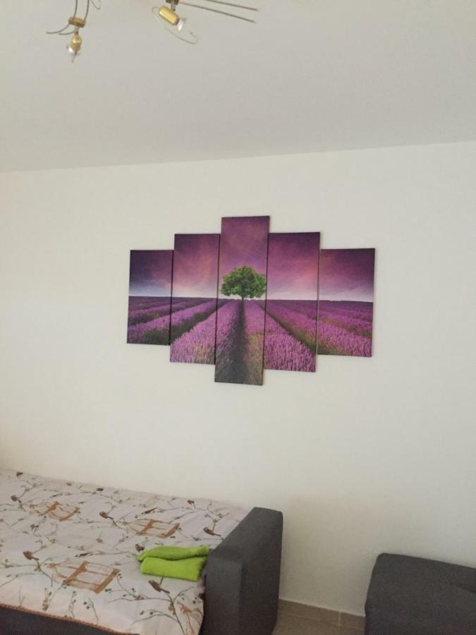 Apartment Brno Pula Buitenkant foto